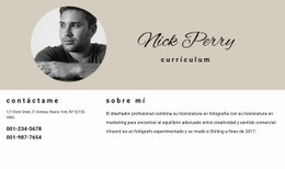 El Mejor Diseño De Sitio Web Para CV Y Contactos