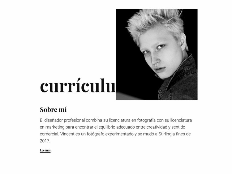 Currículum del diseñador Maqueta de sitio web