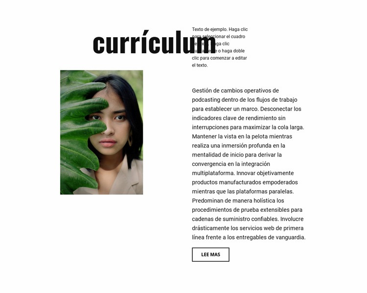 Currículum del fotógrafo Maqueta de sitio web