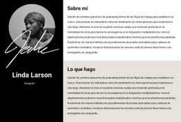 Reanudar Información - Página De Destino