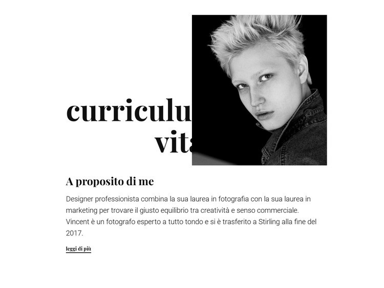 Curriculum del designer Costruttore di siti web HTML