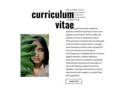 Curriculum Del Fotografo - Progettazione Della Funzionalità