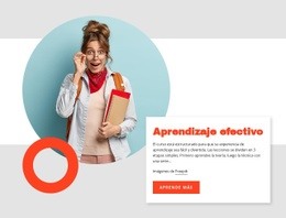 Aprendizaje Efectivo - Diseño De Sitio Web Personalizado