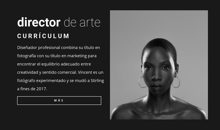 Currículum del director de arte Plantillas de creación de sitios web