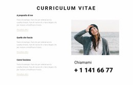 Curriculum Creativo Modello CSS Della Tabella