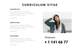 Curriculum Creativo Tema WordPress