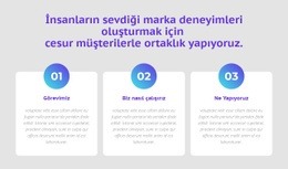 Sayılarla 3 Sütun - HTML5 Şablonu