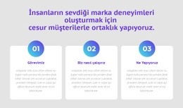 Sayılarla 3 Sütun - Özel Web Sitesi Modeli