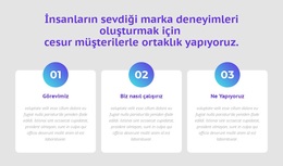 Sayılarla 3 Sütun - Işlevsellik WordPress Teması