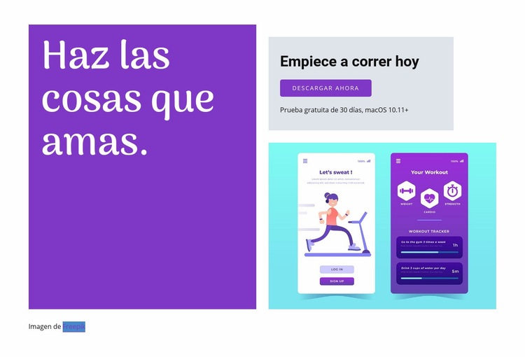 Empezar a ejecutar la aplicación Diseño de páginas web