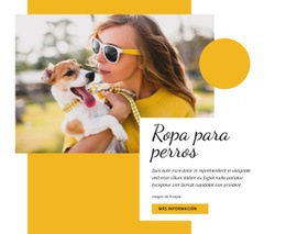 Creador De Sitios Web Gratuito Para Moda De Ropa Para Perros