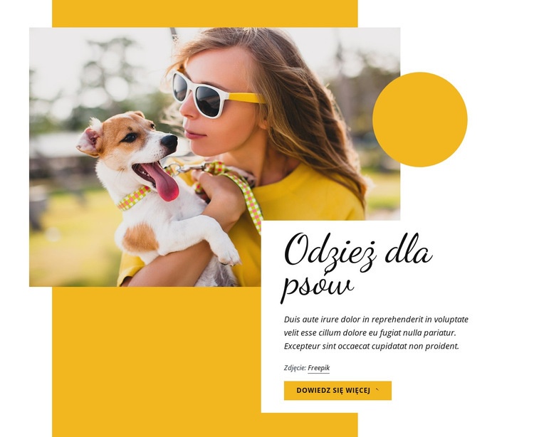 Odzież dla psów Kreator witryn internetowych HTML