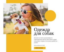 Мода На Одежду Для Собак Онлайн-Образование