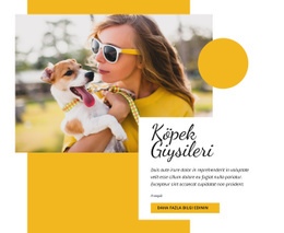 Köpek Giyim Modası - Ücretsiz Web Sitesi Şablonu