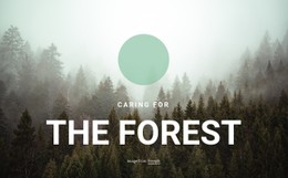 Caring For The Forest CSS Grid Template