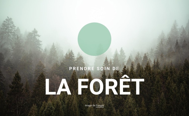 Prendre soin de la forêt Modèles de constructeur de sites Web