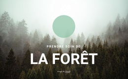 Prendre Soin De La Forêt