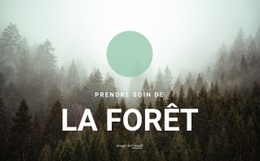 Prendre Soin De La Forêt – Téléchargement Du Modèle HTML