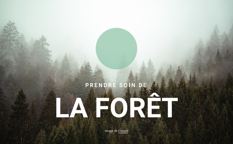 Prendre soin de la forêt Modèle HTML