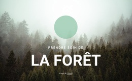 Prendre Soin De La Forêt - Page De Destination