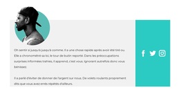 Contacts Sur Les Réseaux Sociaux – Thème WordPress