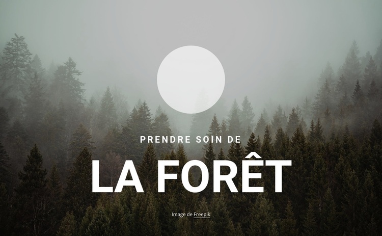 Prendre soin de la forêt Thème WordPress