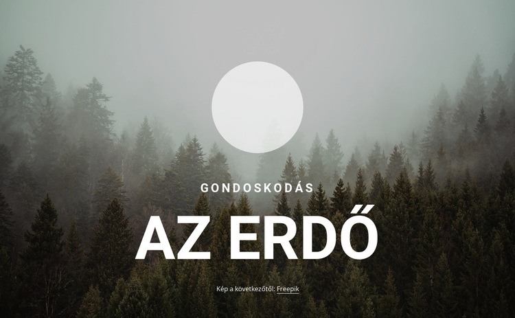 Az erdő gondozása Weboldal sablon