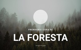 Prendersi Cura Della Foresta