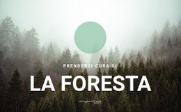 Prendersi Cura Della Foresta Agenzia Creativa