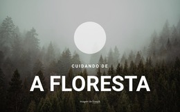 Cuidando Da Floresta