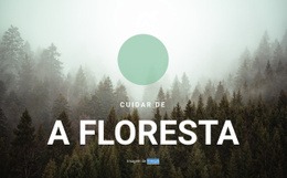 Cuidando Da Floresta