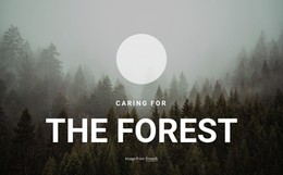 Caring For The Forest