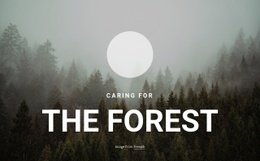 Caring For The Forest