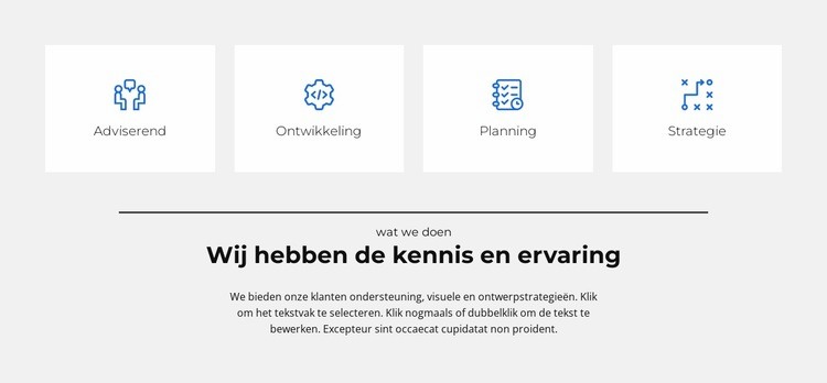 We hebben onze eigen regels Website mockup