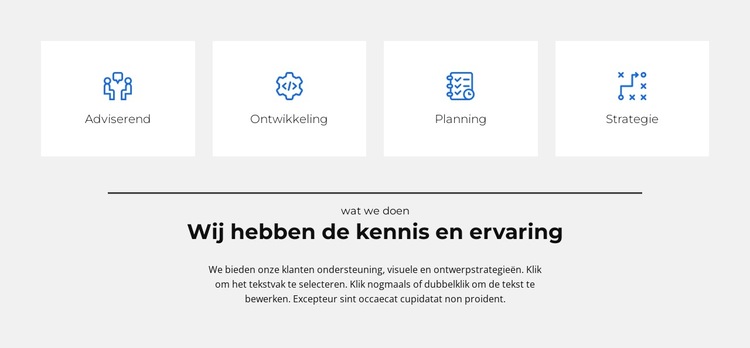 We hebben onze eigen regels Website sjabloon