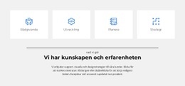 Vi Har Våra Egna Regler - Professionellt WordPress-Tema