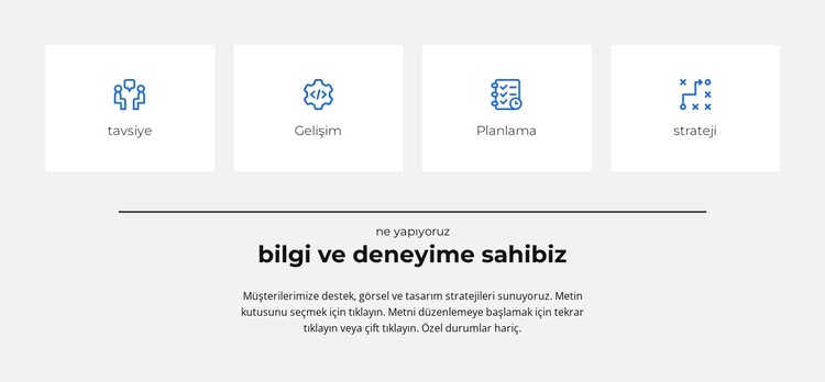 bizim kendi kurallarımız var CSS Şablonu