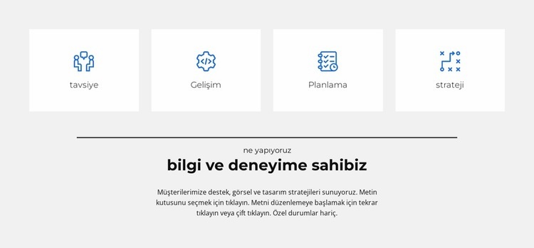 bizim kendi kurallarımız var Web Sitesi Oluşturucu Şablonları