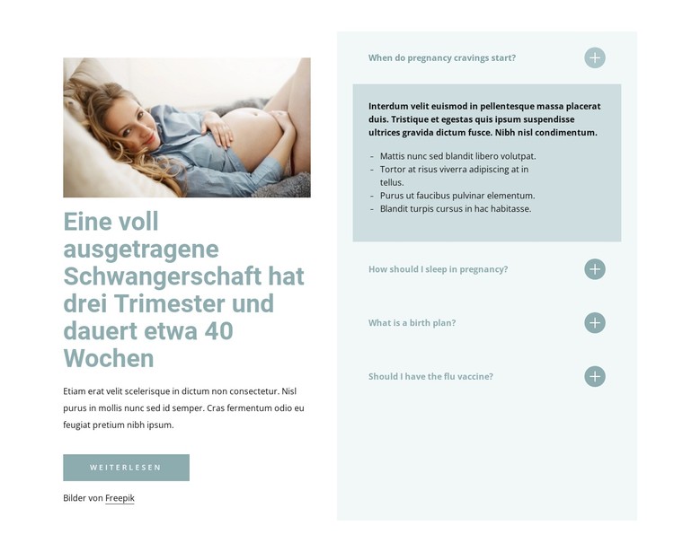 Eine voll ausgetragene Schwangerschaft CSS-Vorlage