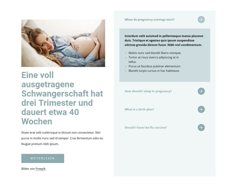 Eine voll ausgetragene Schwangerschaft Website-Vorlage