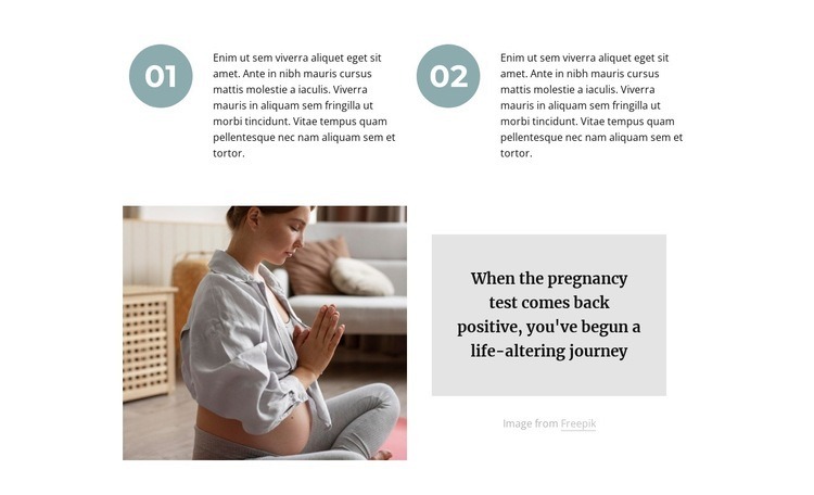 Perfect pregnancy guide Elementor Template Alternative