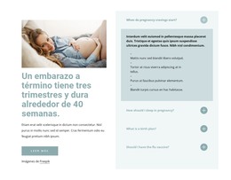 Aterrizaje HTML Para Un Embarazo A Término