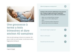 Une Grossesse À Terme