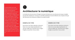 Textes Dans Différentes Cellules - Modèle De Code HTML