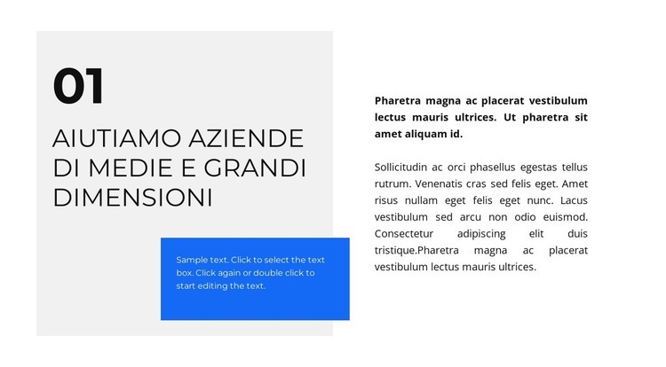 Aiuto negli affari Modelli di Website Builder