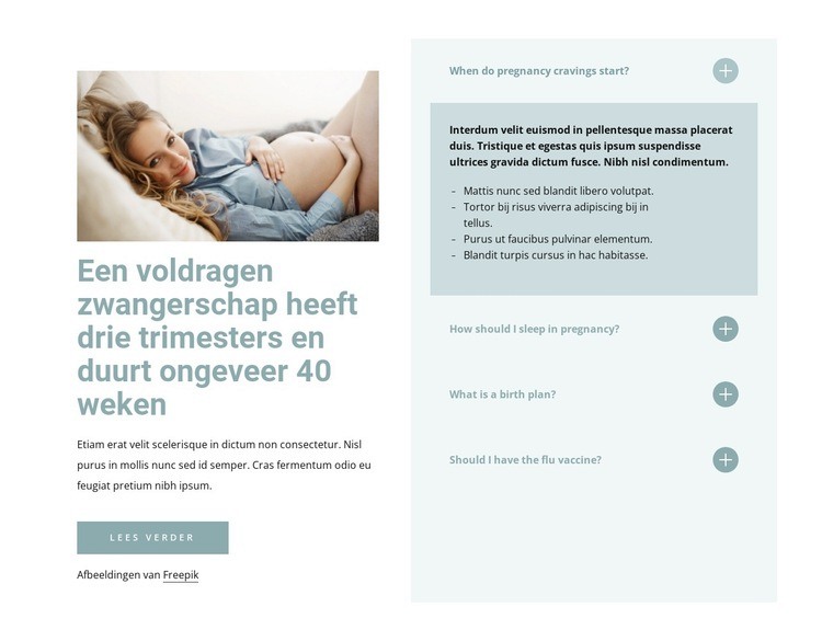 Een voldragen zwangerschap HTML5-sjabloon