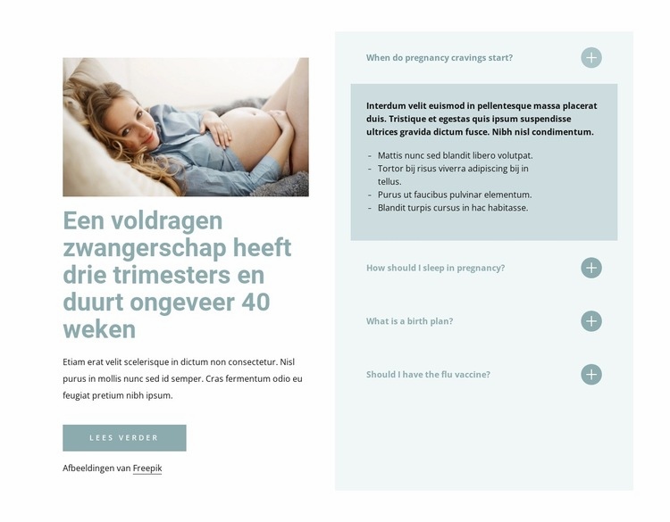 Een voldragen zwangerschap Website ontwerp