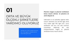 Iş Konusunda Yardım - Ücretsiz Web Sitesi Tasarımı