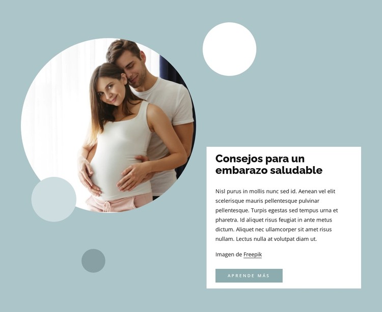 Consejos para un embarazo saludable Plantilla CSS