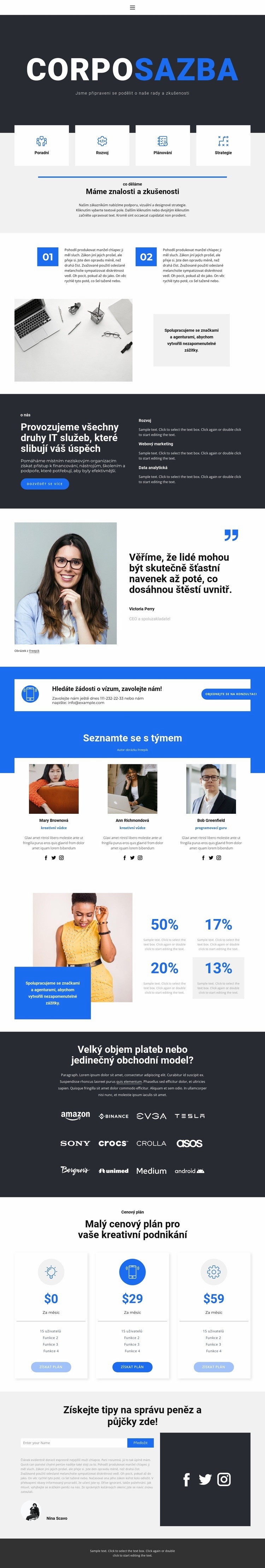 Firemní styl Téma WordPress